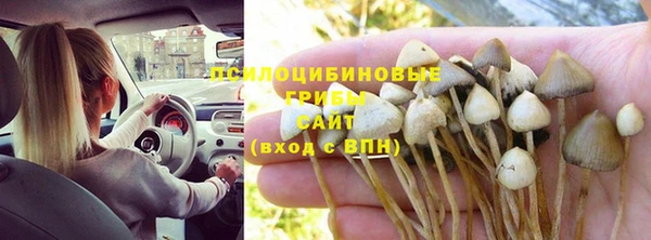 прущие крисы Богданович