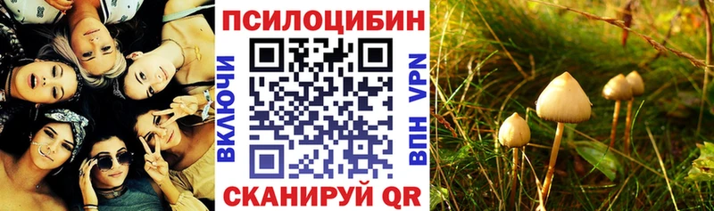 mega зеркало Мостовской Галлюциногенные грибы MAGIC MUSHROOMS продажа наркотиков
